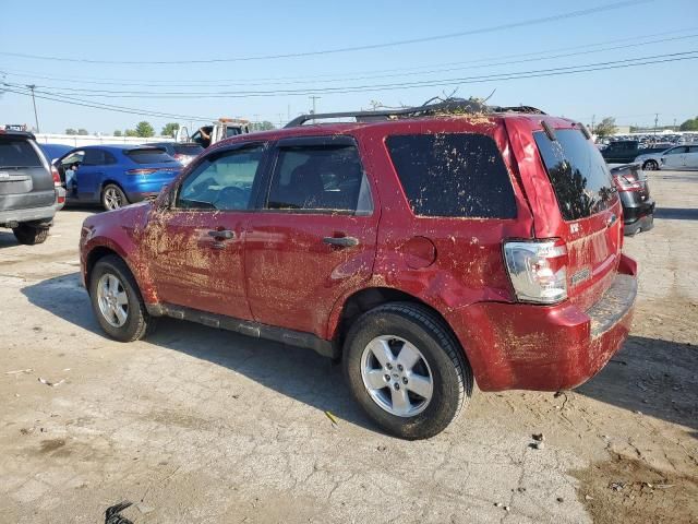 2009 Ford Escape XLT