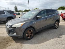 Ford Escape salvage cars for sale: 2016 Ford Escape SE