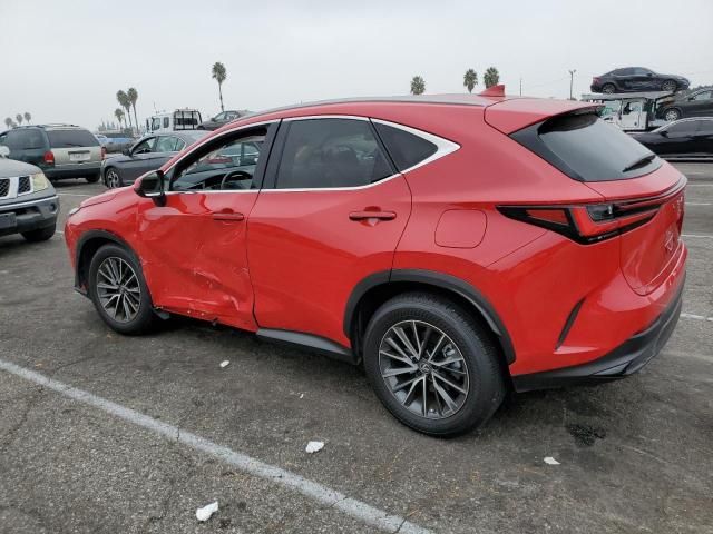 2024 Lexus NX 250 Base