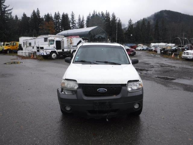 2007 Ford Escape XLT