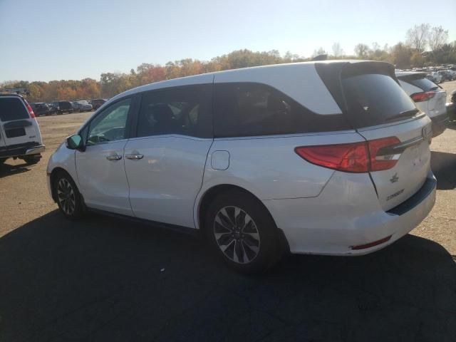 2022 Honda Odyssey EXL