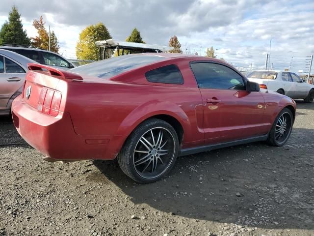 2005 Ford Mustang