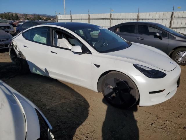 2021 Tesla Model 3