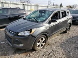 Ford salvage cars for sale: 2015 Ford Escape SE