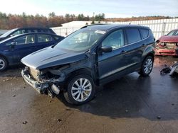 Ford Escape salvage cars for sale: 2019 Ford Escape SEL