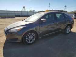 Ford Focus salvage cars for sale: 2017 Ford Focus SE