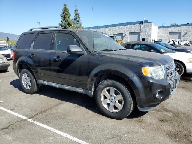 2011 Ford Escape Limited