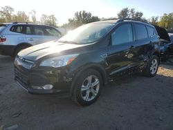 Ford salvage cars for sale: 2014 Ford Escape SE