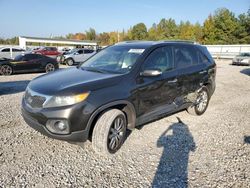 KIA Sorento salvage cars for sale: 2011 KIA Sorento EX