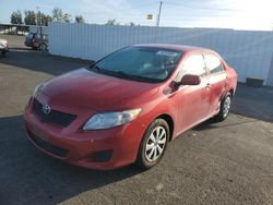 Toyota salvage cars for sale: 2010 Toyota Corolla Base