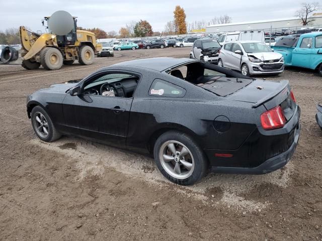 2010 Ford Mustang