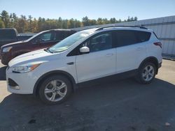 Ford Escape salvage cars for sale: 2014 Ford Escape SE