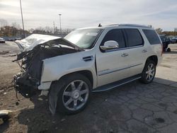 Cadillac Escalade salvage cars for sale: 2007 Cadillac Escalade Luxury