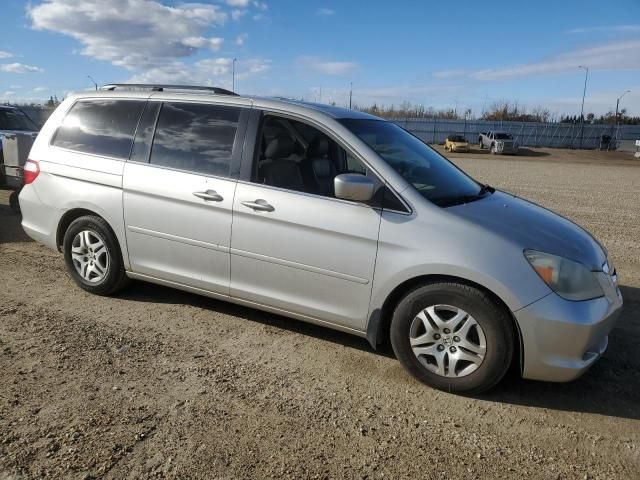 2005 Honda Odyssey EXL