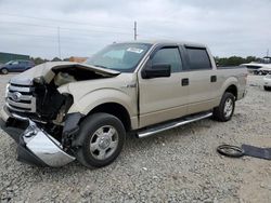 Ford f-150 salvage cars for sale: 2010 Ford F150 Supercrew