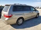 2005 Honda Odyssey EXL