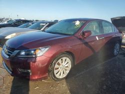 Honda Accord salvage cars for sale: 2013 Honda Accord EXL