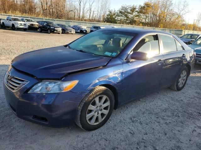 2008 Toyota Camry Hybrid