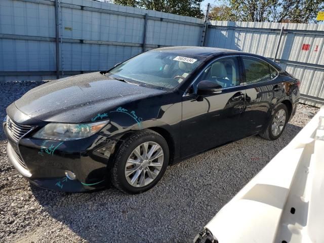 2013 Lexus ES 300H