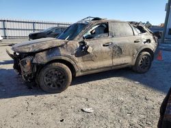 KIA Telluride salvage cars for sale: 2024 KIA Telluride SX