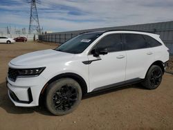 KIA Sorento salvage cars for sale: 2021 KIA Sorento SX