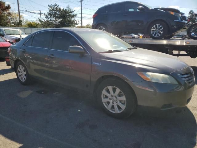 2009 Toyota Camry Hybrid