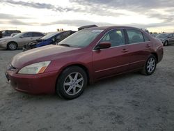 2004 Honda Accord EX for sale in Antelope, CA