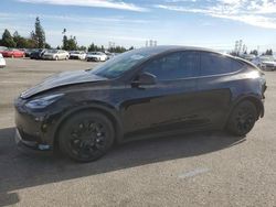 Tesla salvage cars for sale: 2021 Tesla Model Y