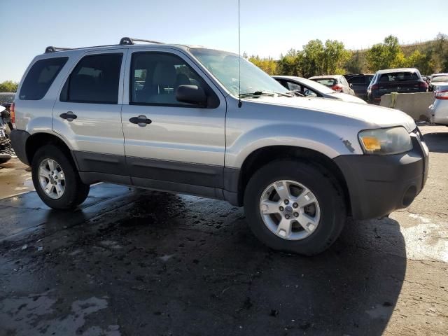 2006 Ford Escape XLT