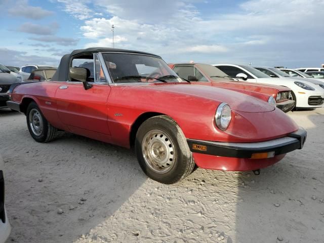 1986 Alfa Romeo Veloce 2000 Spider