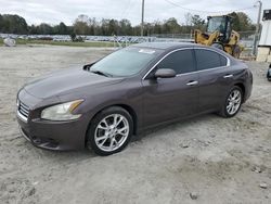 Nissan Maxima salvage cars for sale: 2012 Nissan Maxima S