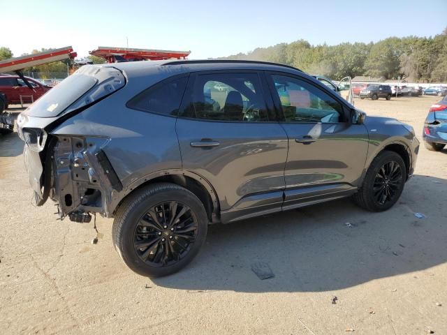 2023 Ford Escape ST Line Elite