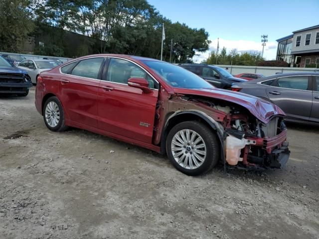 2014 Ford Fusion Titanium Phev