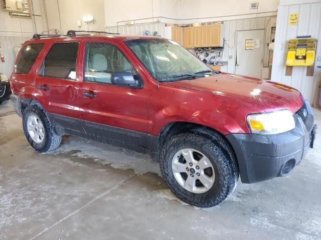 2007 Ford Escape XLT