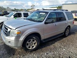 Ford Expedition salvage cars for sale: 2010 Ford Expedition XLT