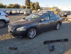 Nissan Maxima salvage cars for sale: 2011 Nissan Maxima S