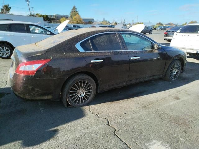 2010 Nissan Maxima S