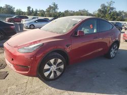 Tesla salvage cars for sale: 2021 Tesla Model Y