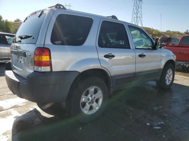 2006 Ford Escape XLT