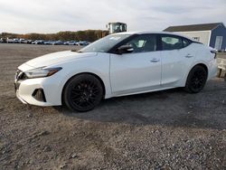 Nissan salvage cars for sale: 2019 Nissan Maxima S