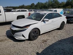 Hyundai salvage cars for sale: 2021 Hyundai Elantra Blue