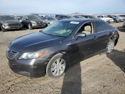 Toyota Camry salvage cars for sale: 2008 Toyota Camry Hybrid