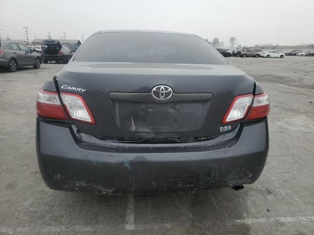 2009 Toyota Camry Hybrid