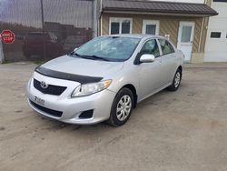 Toyota Corolla salvage cars for sale: 2010 Toyota Corolla Base