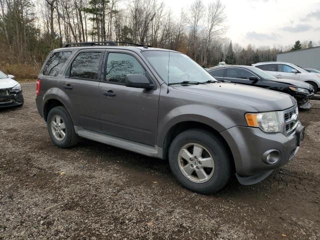 2009 Ford Escape XLT