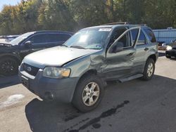 Vehiculos salvage en venta de Copart Glassboro, NJ: 2006 Ford Escape XLT