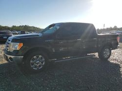 Ford f-150 salvage cars for sale: 2014 Ford F150 Supercrew