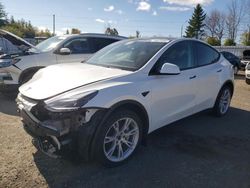 Tesla Model y salvage cars for sale: 2023 Tesla Model Y