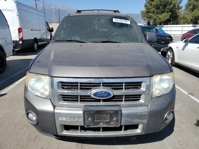 2010 Ford Escape Limited