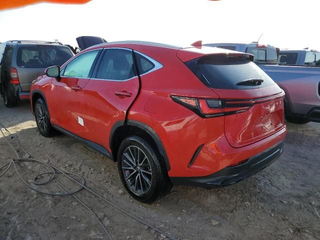 2024 Lexus NX 250 Premium